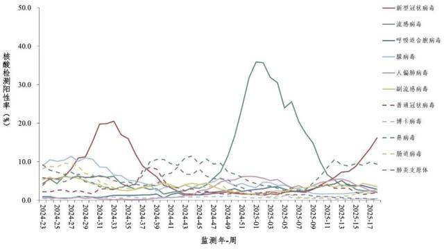 高峰_病毒_呼吸道AG真人新冠又来_(图6) 高峰_病毒_呼吸道AG真人新冠又来_(图6)