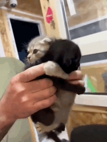 没有停在原地｜Goodnewsag真人平台第一游戏7月我们都(图3)