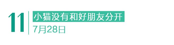 没有停在原地｜Goodnewsag真人平台第一游戏7月我们都(图14)