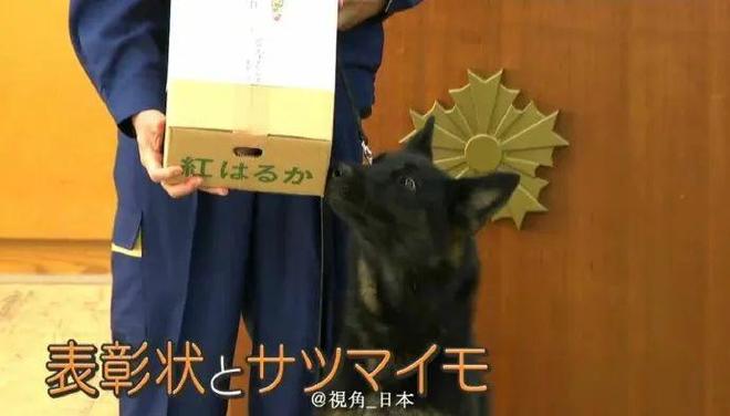 没有停在原地｜Goodnewsag真人平台第一游戏7月我们都(图15)