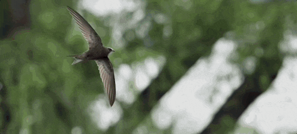 没有停在原地｜Goodnewsag真人平台第一游戏7月我们都(图20)