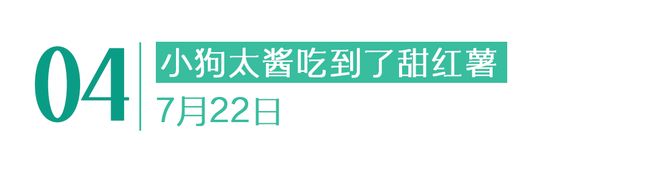 没有停在原地｜Goodnewsag真人平台第一游戏7月我们都(图24)